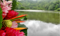 /album/galeria/captura-de-pantalla-2014-06-15-22-34-05-png/